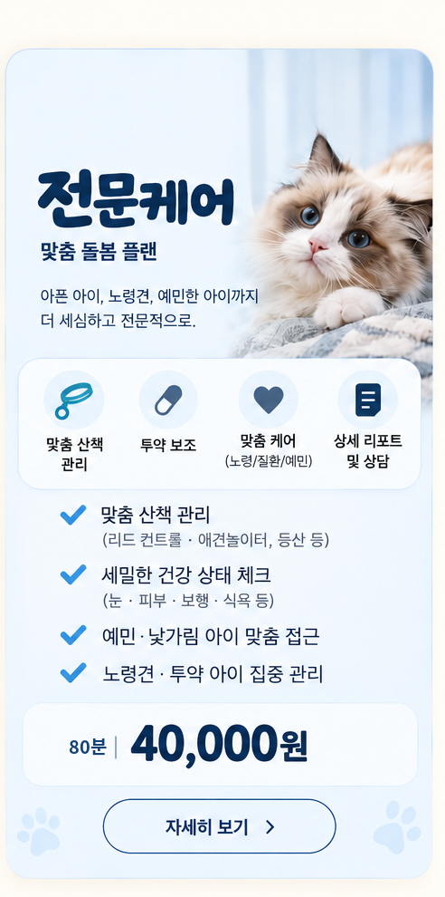 전문케어 80분 40,000원. 맞춤 산책, 투약 보조, 노령·질환·예민한 아이 맞춤 케어와 상세 리포트.